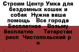 Строим Центр Умка для бездомных кошек и собак! Нужна ваша помощь - Все города Бесплатное » Возьму бесплатно   . Татарстан респ.,Чистопольский р-н